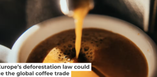 The beans that created this cup of coffee had a long journey. Guido Mieth/Moment via Getty Images